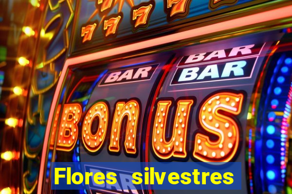 Flores silvestres brasileiras 25